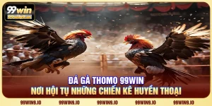 Đá gà Thomo 99WIN - Nơi hội tụ những chiến kê huyền thoại