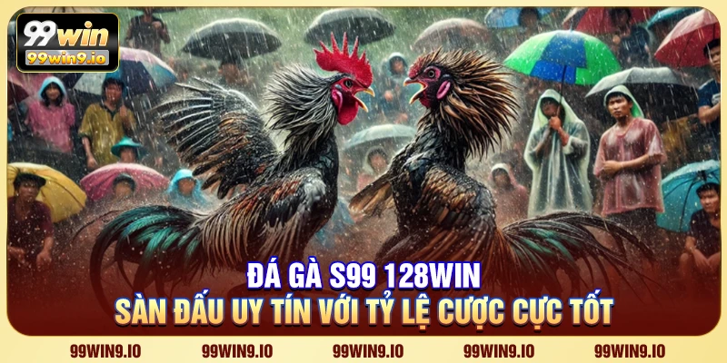 Đá gà S128 99WIN – Sàn đấu uy tín với tỷ lệ cược cực tốt