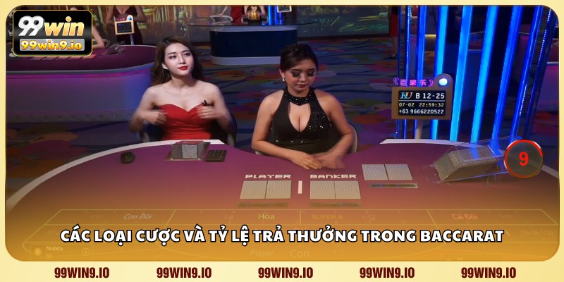 Các loại cược và tỷ lệ trả thưởng trong Baccarat