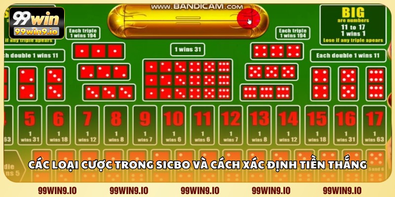 Các loại cược trong Sicbo và cách xác định tiền thắng