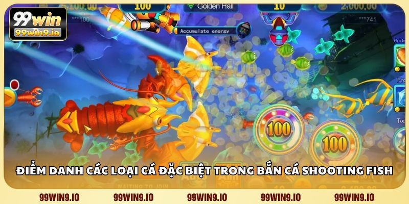 Điểm danh các loại cá đặc biệt trong bắn cá Shooting Fish