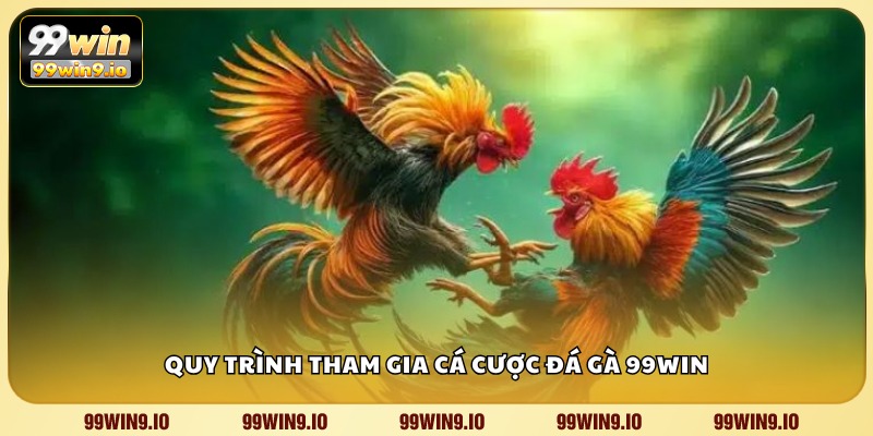 Quy trình tham gia cá cược Đá Gà 99WIN
