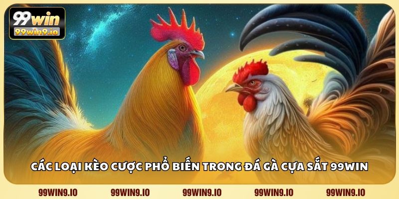 Các loại kèo cược phổ biến trong đá gà cựa sắt 99WIN
