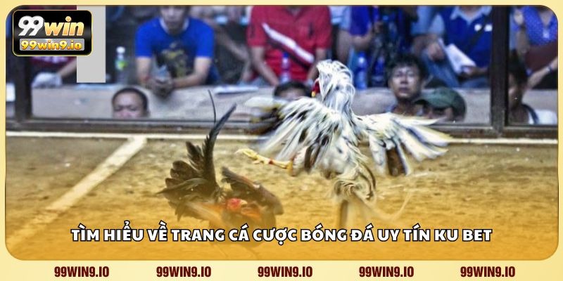 Đá gà S128 có gì đặc biệt?