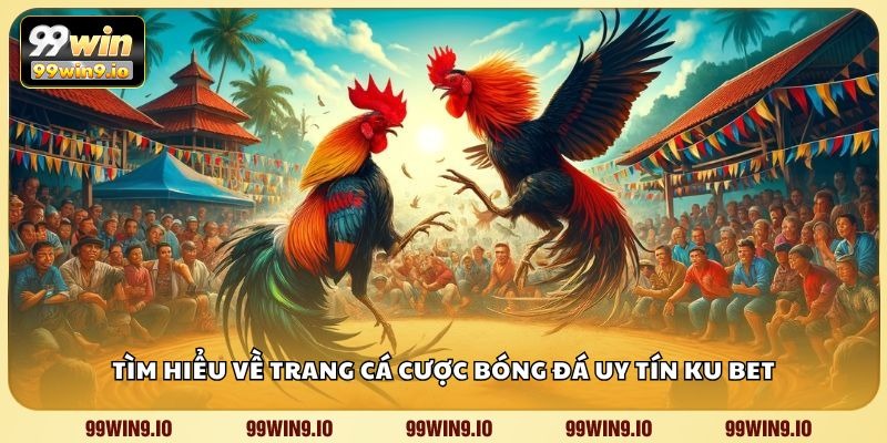 Các loại hình thi đấu hấp dẫn trong đá gà S128