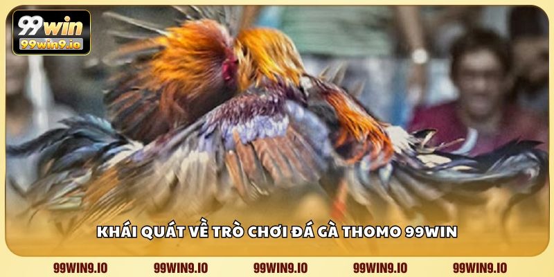 Khái quát về trò chơi đá gà Thomo 99WIN