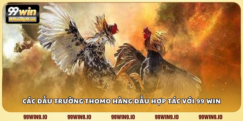 Các đấu trường Thomo hàng đầu hợp tác với 99 WIN