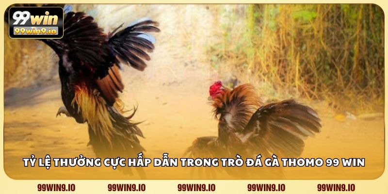 Tỷ lệ thưởng cực hấp dẫn trong trò đá gà Thomo 99 WIN