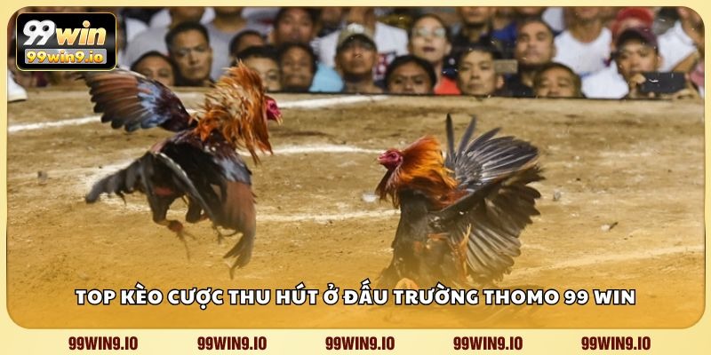 Top kèo cược thu hút ở đấu trường Thomo 99 WIN