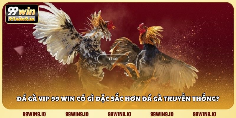 Đá gà VIP 99 WIN có gì đặc sắc hơn đá gà truyền thống?