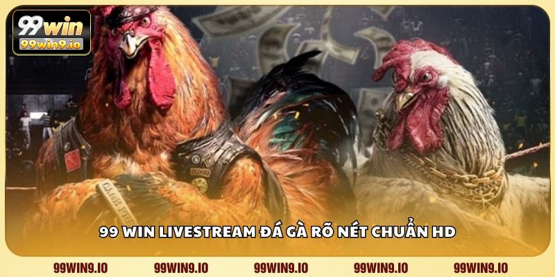 99 WIN livestream đá gà rõ nét chuẩn HD