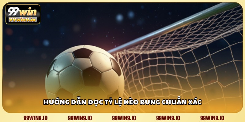 Hướng dẫn đọc tỷ lệ kèo rung chuẩn xác