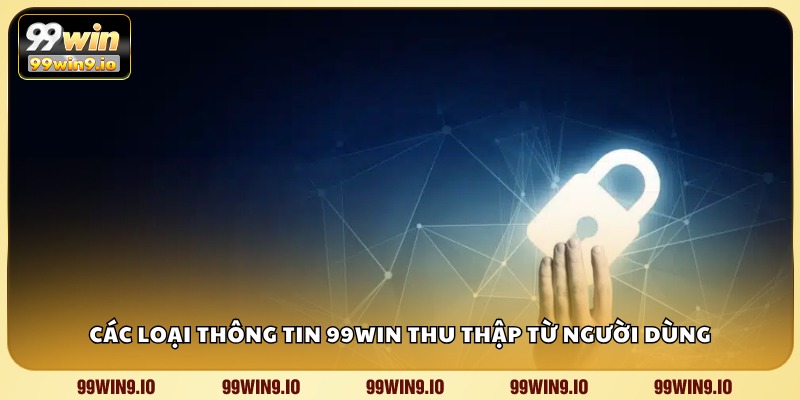Các loại thông tin 99WIN thu thập từ người dùng