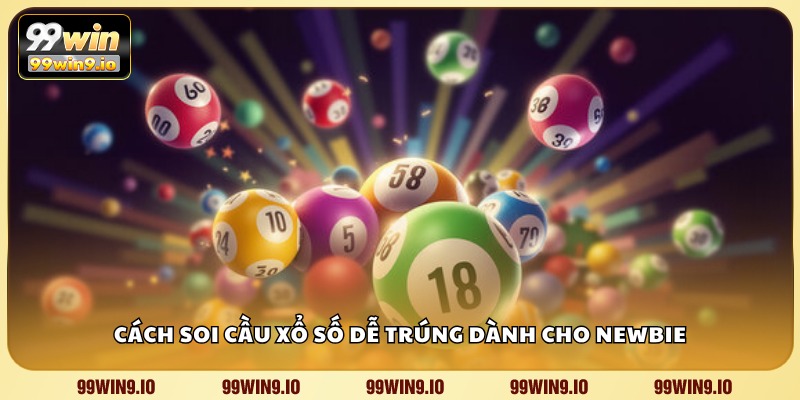 Cách soi cầu xổ số dễ trúng dành cho newbie