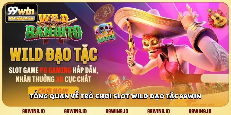 Tổng quan về trò chơi slot Wild Đạo Tặc 99WIN